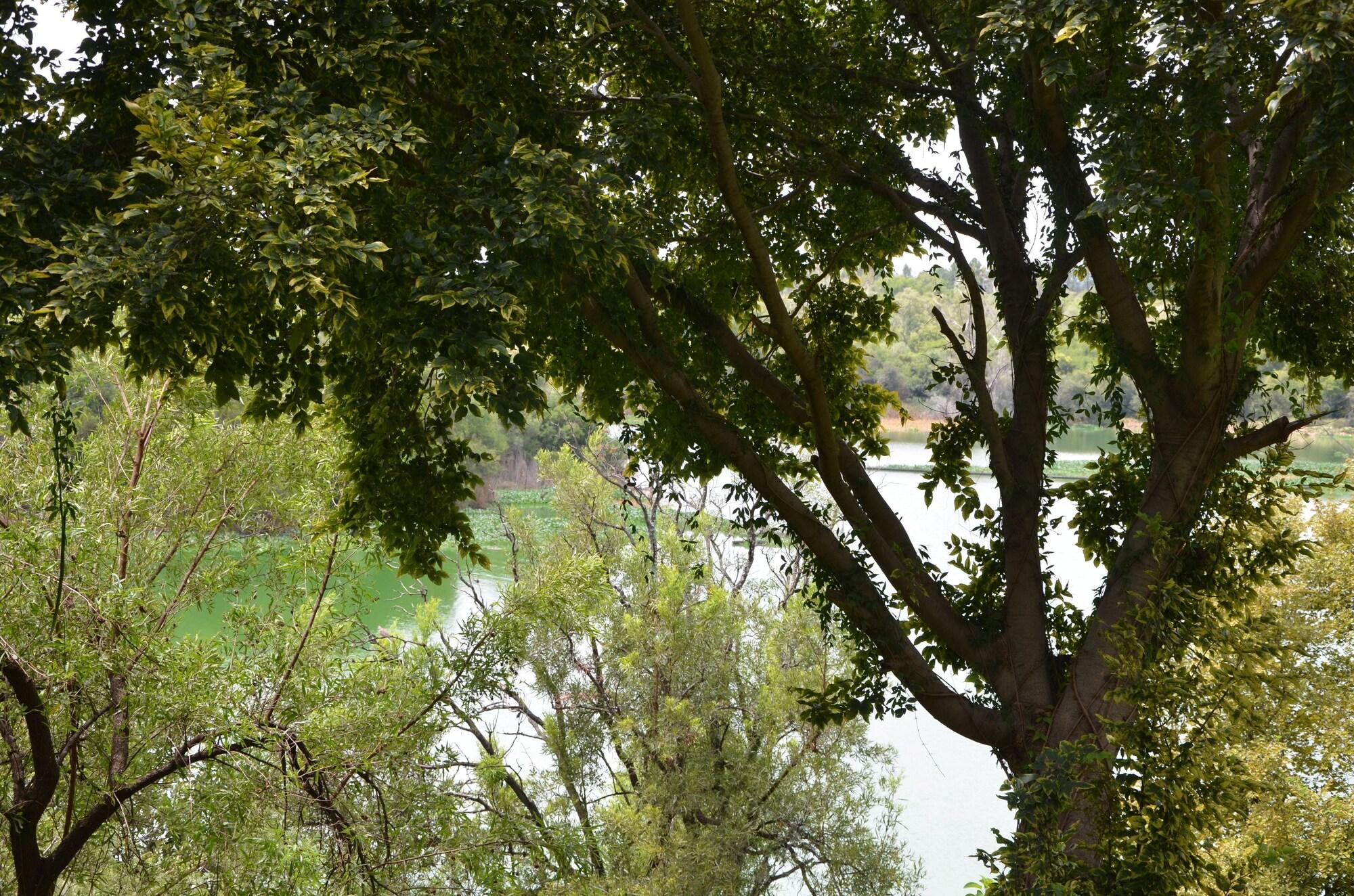 Premier Hotel Roodevalley Pretoria-Noord Esterno foto